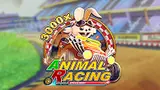 ANIMAL RACING
