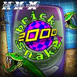 Brick Snake 2000